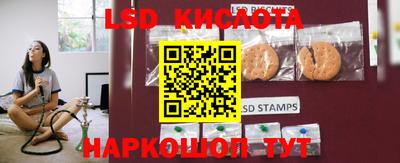 гидропоника Гусиноозёрск