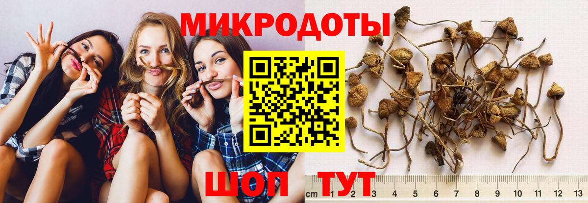 Галлюциногенные грибы прущие грибы  наркота  Искитим  Вход с VPN  Галлюциногенные грибы мухоморы 